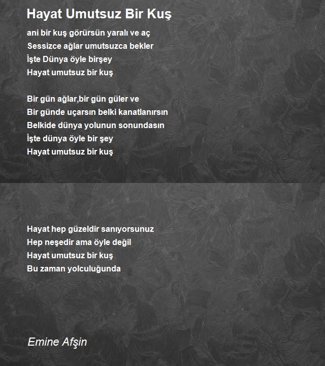 Emine Afşin