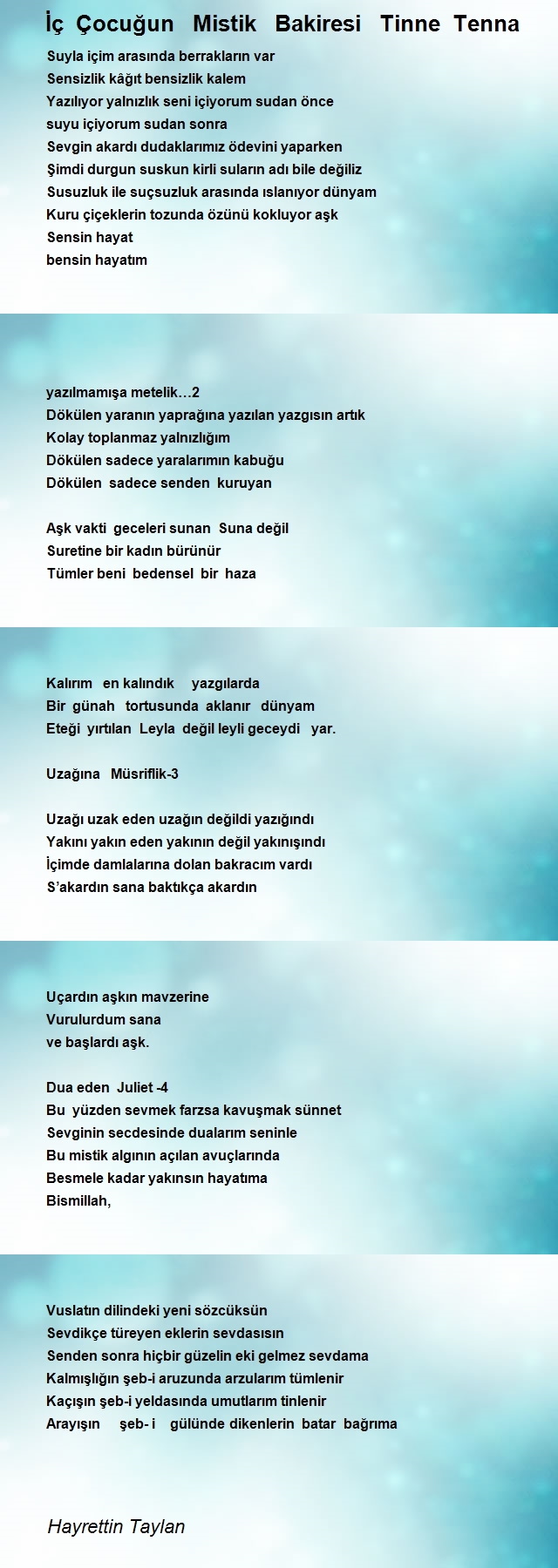 Hayrettin Taylan