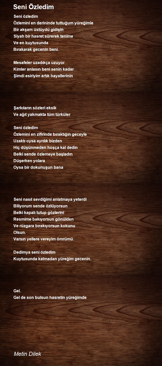 Metin Dilek