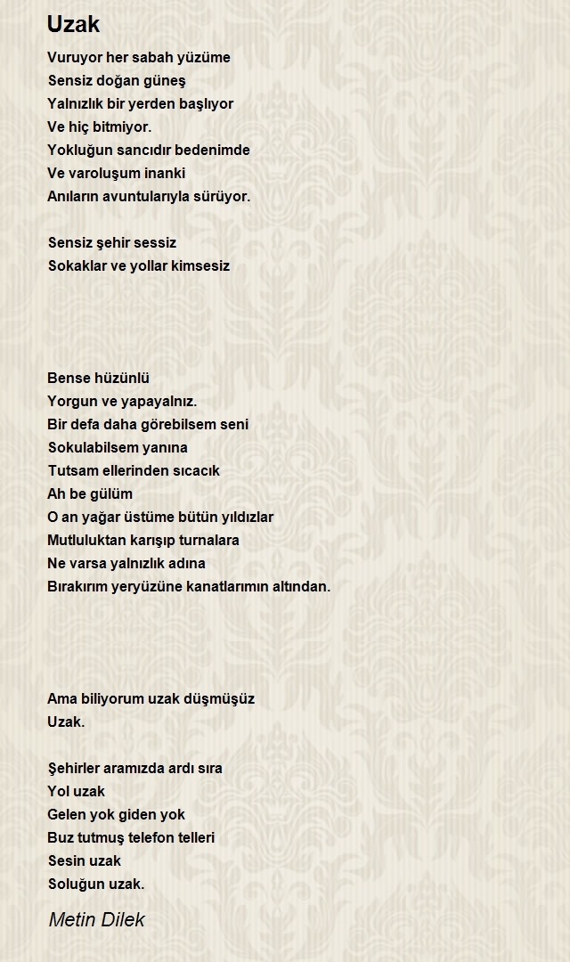 Metin Dilek 