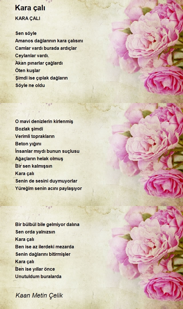 Kaan Metin Çelik