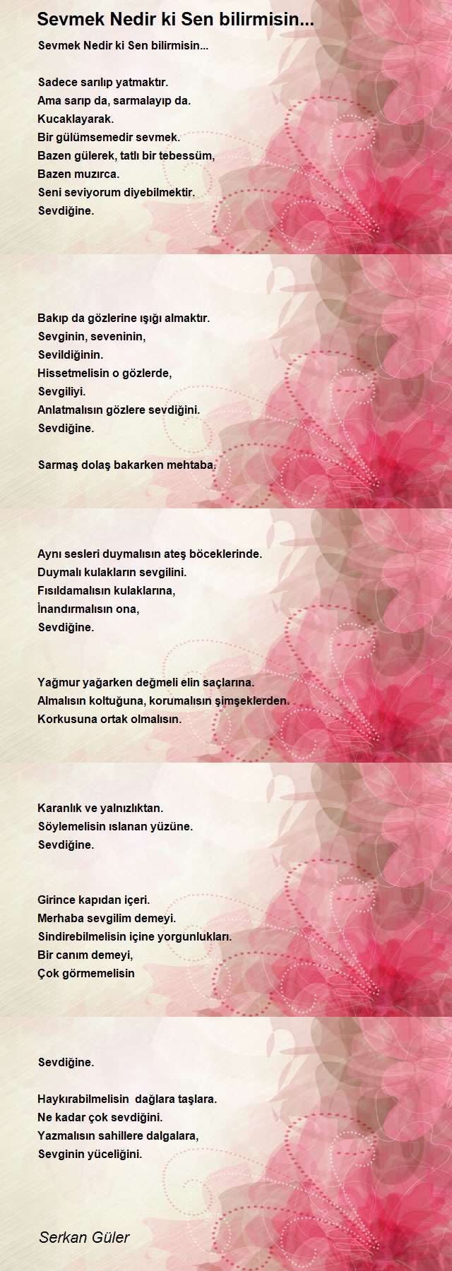 Serkan Güler