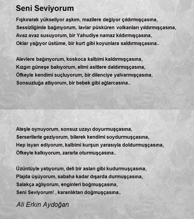 Ali Erkin Aydoğan