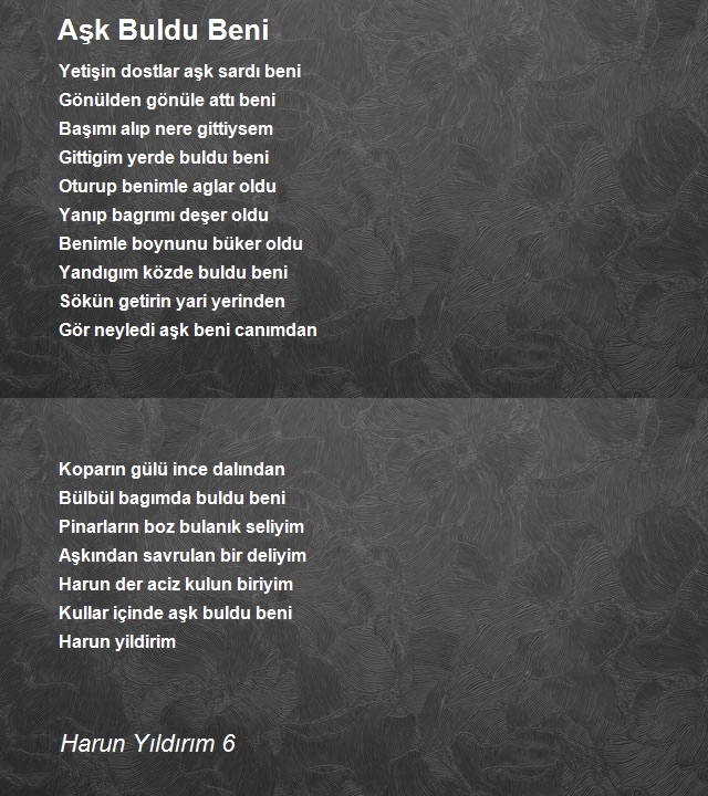Harun Yıldırım 6