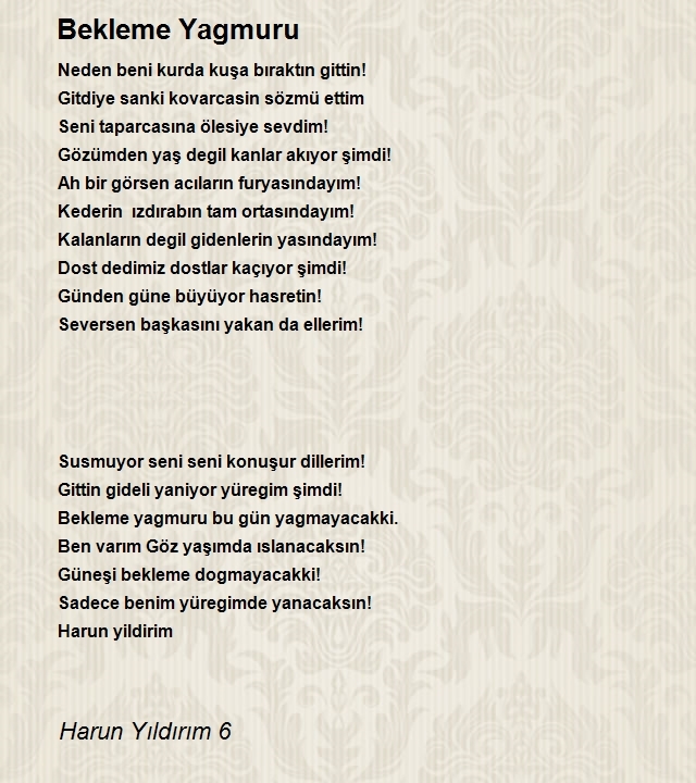 Harun Yıldırım 6