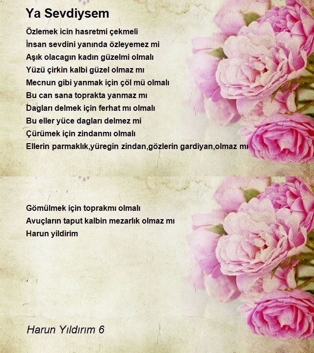 Harun Yıldırım 6