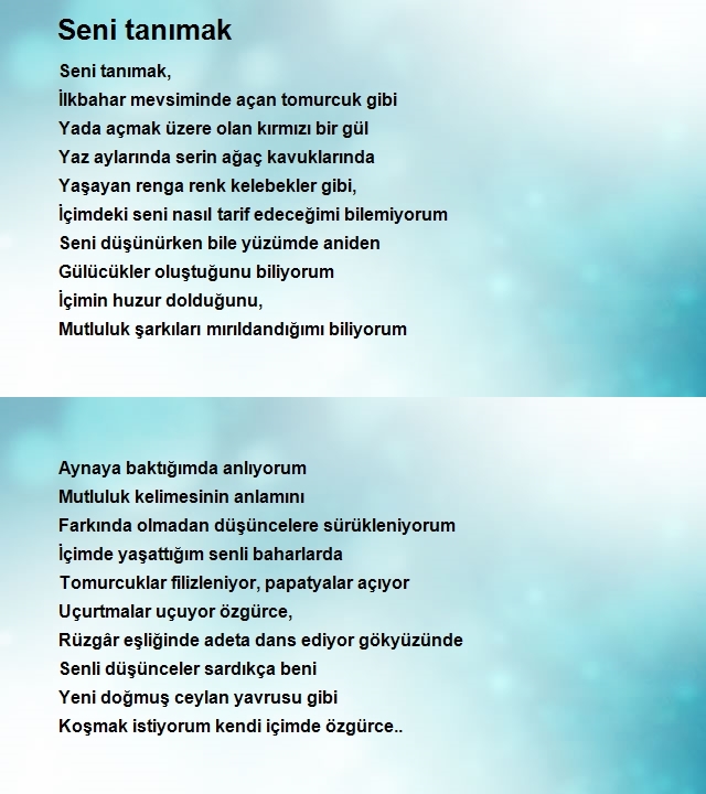 Şahin Yiğit