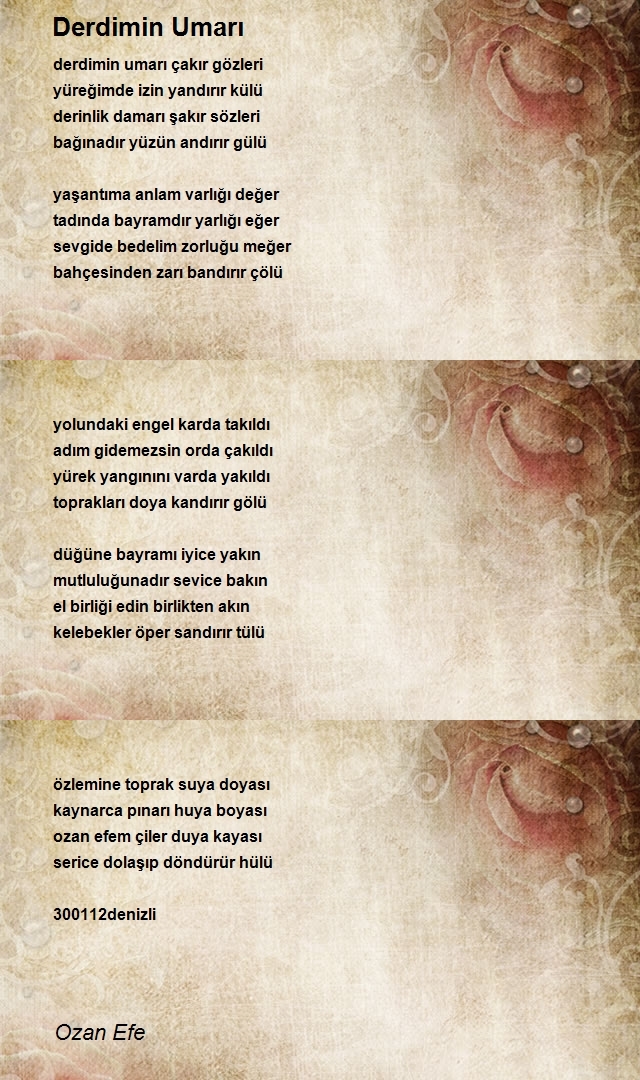 Ozan Efe