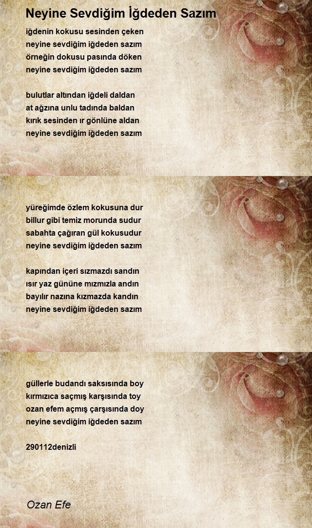 Ozan Efe