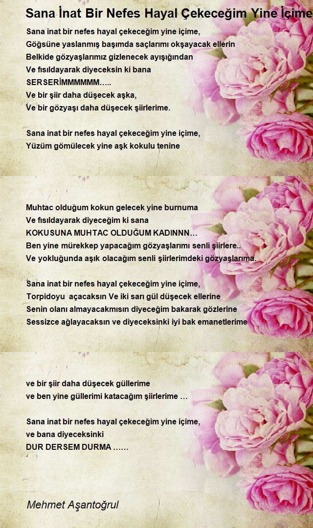 Mehmet Aşantoğrul