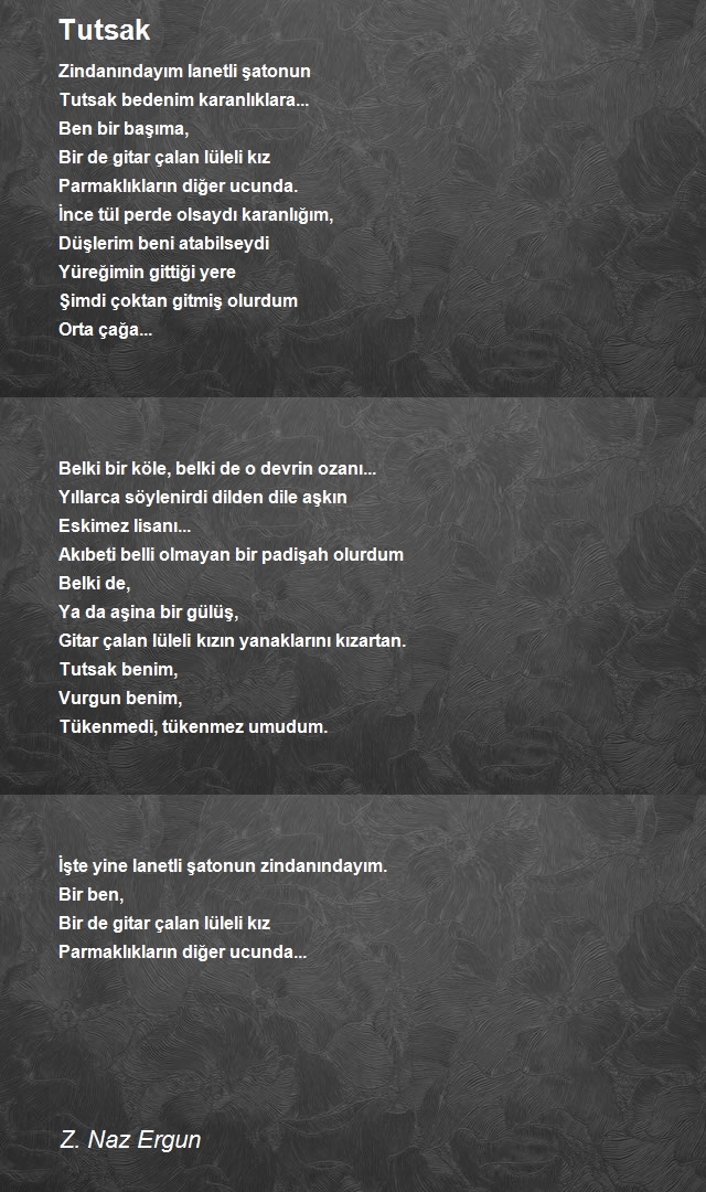 Z. Naz Ergun