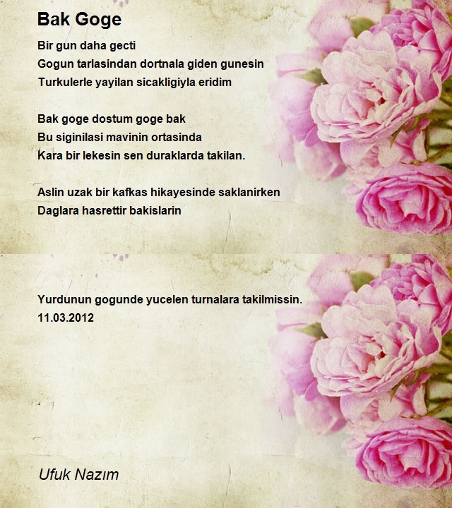 Ufuk Nazım