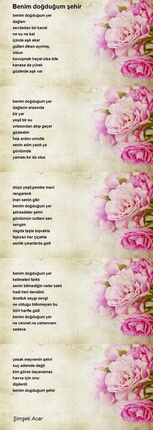 Şimşek Acar