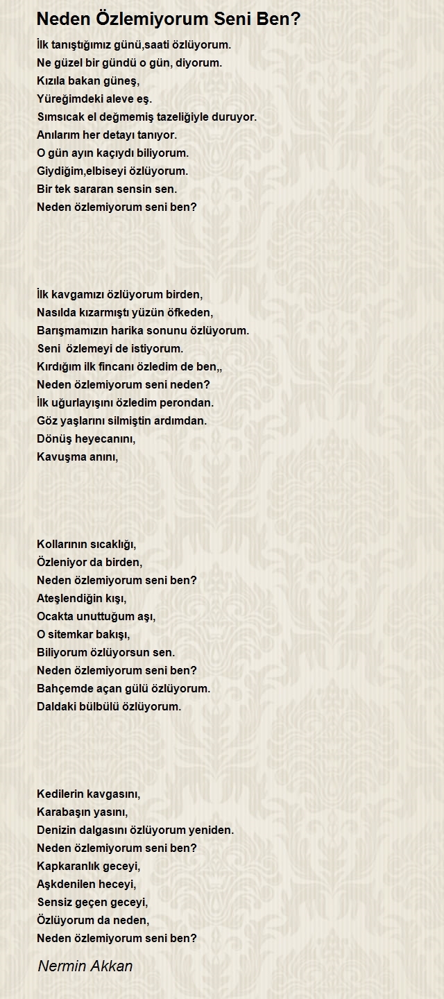 Nermin Akkan