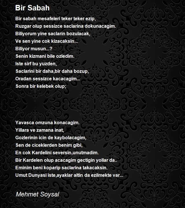 Mehmet Soysal
