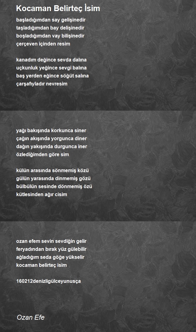Ozan Efe