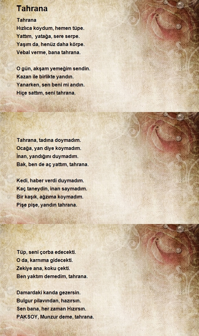 Abbas Paksoy