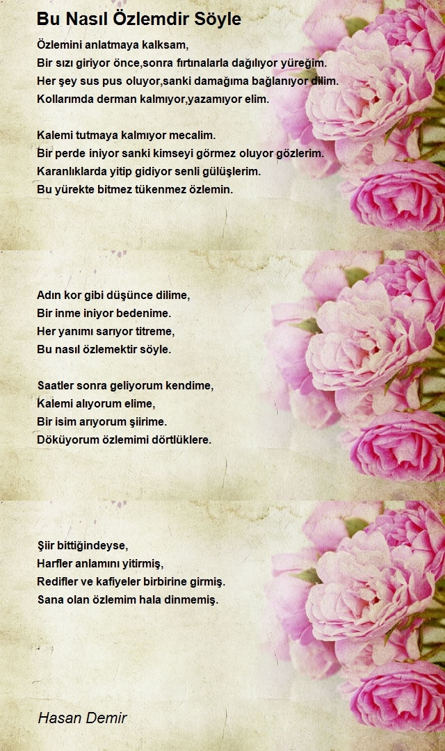 Hasan Demir