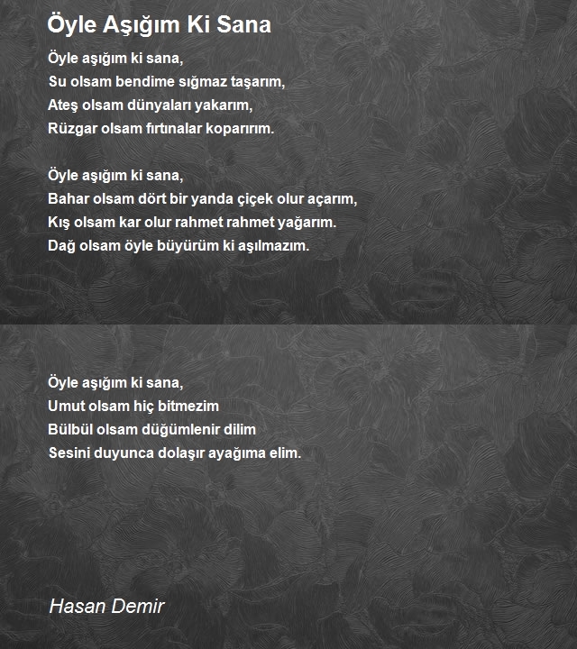 Hasan Demir