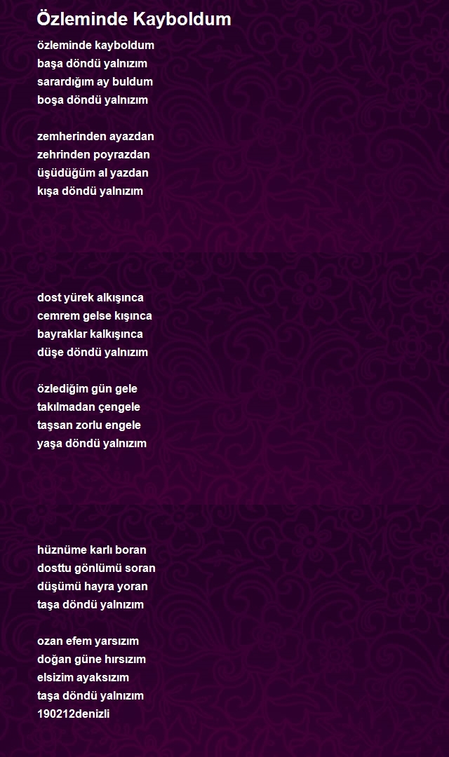 Ozan Efe