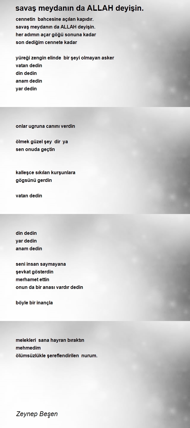 Zeynep Beşen