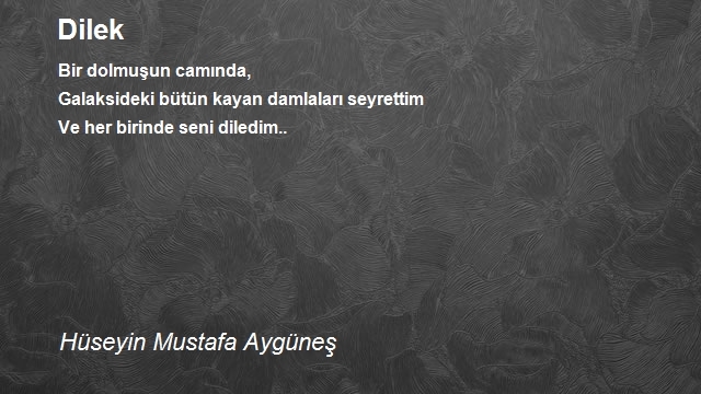 Hüseyin Mustafa Aygüneş