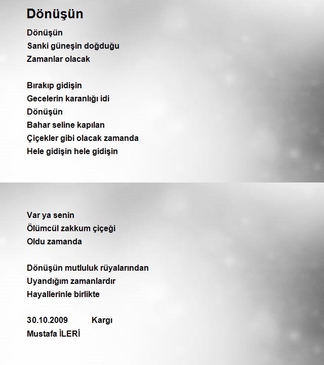 Mustafa İleri