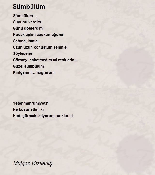 Müjgan Kızıleniş