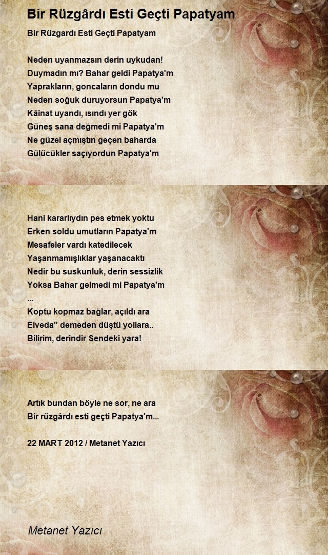 Metanet Yazıcı
