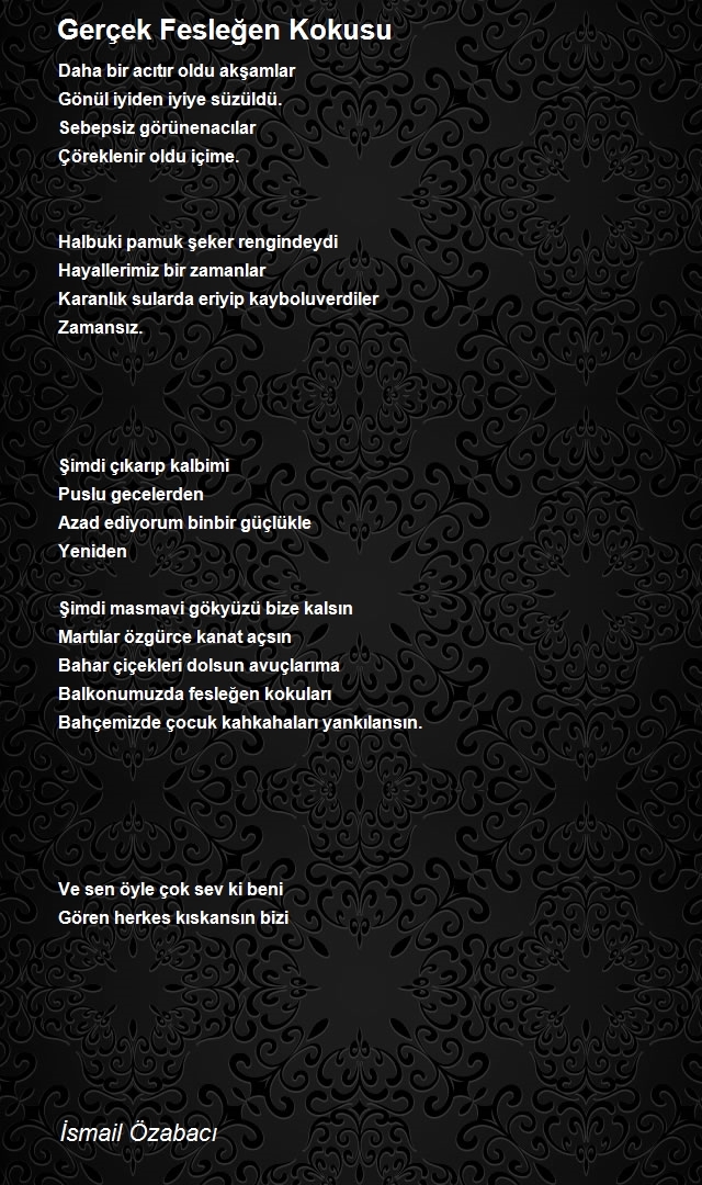 İsmail Özabacı