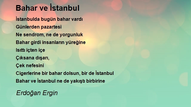 Erdoğan Ergin