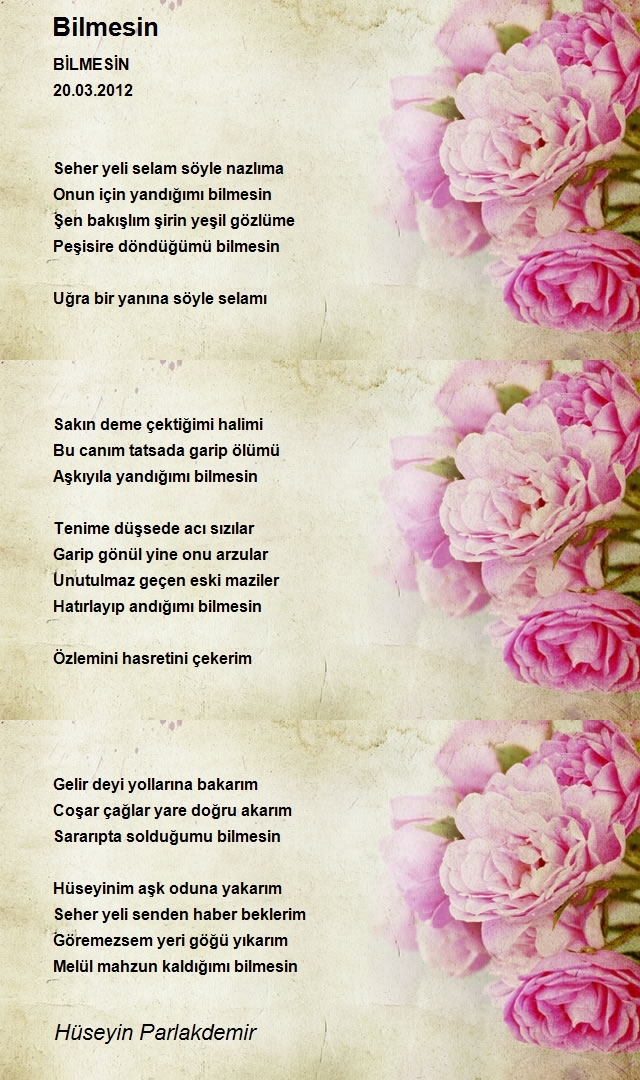 Hüseyin Parlakdemir