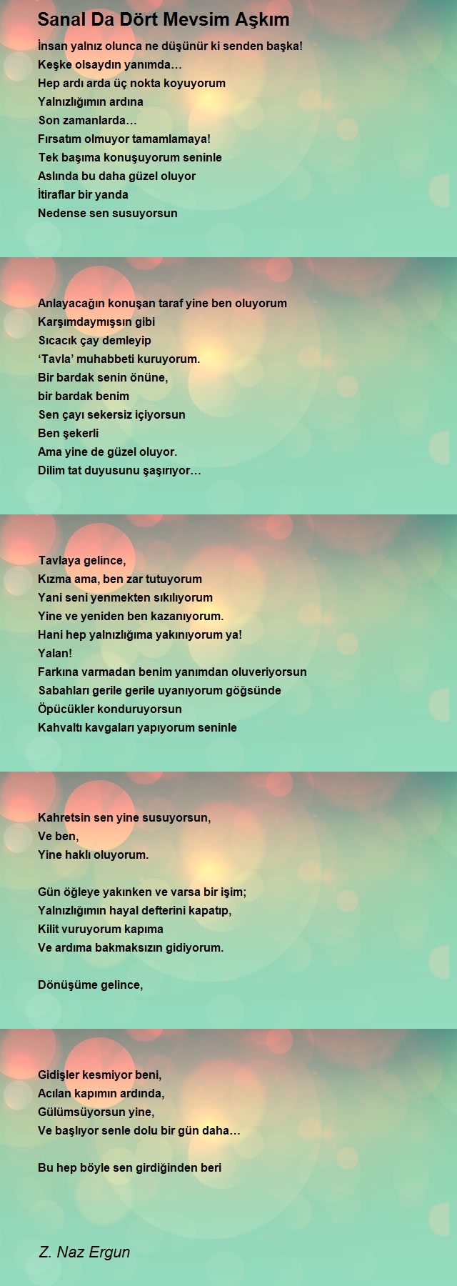Z. Naz Ergun