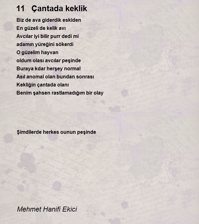 Mehmet Hanifi Ekici