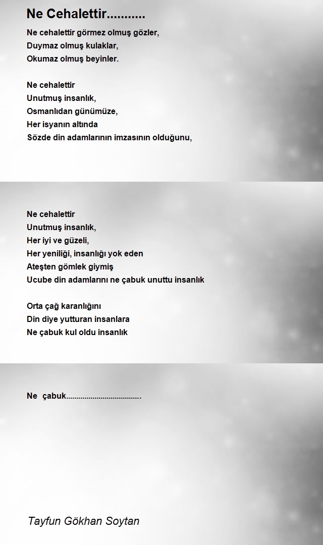 Tayfun Gökhan Soytan