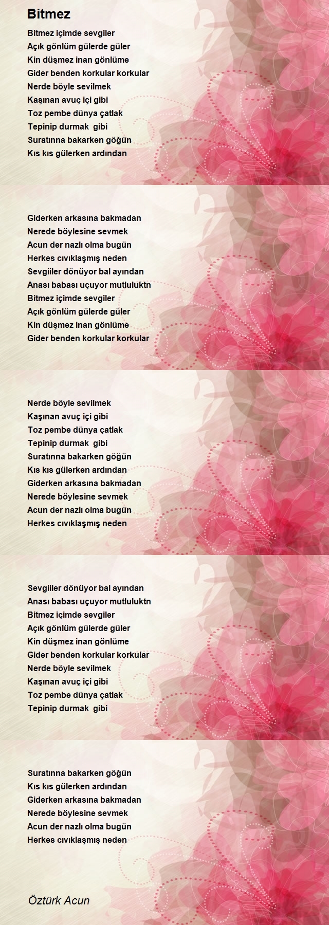 Öztürk Acun