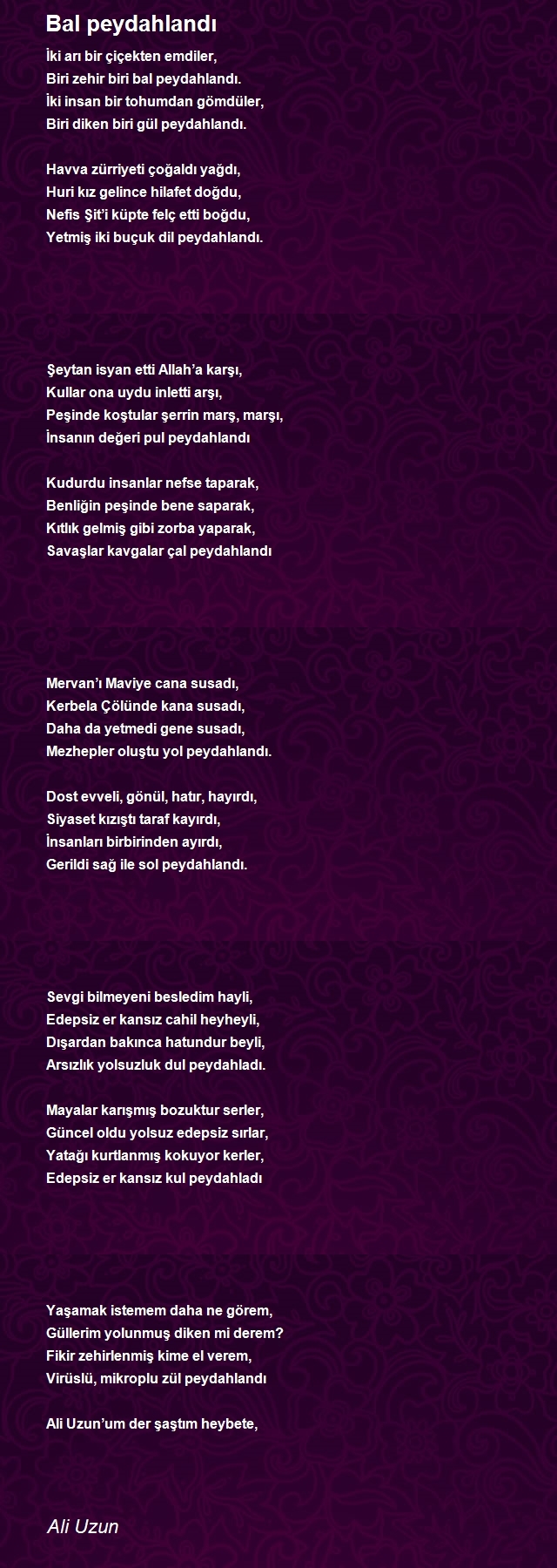 Ali Uzun