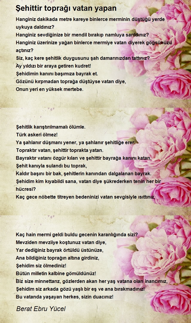 Berat Ebru Yücel