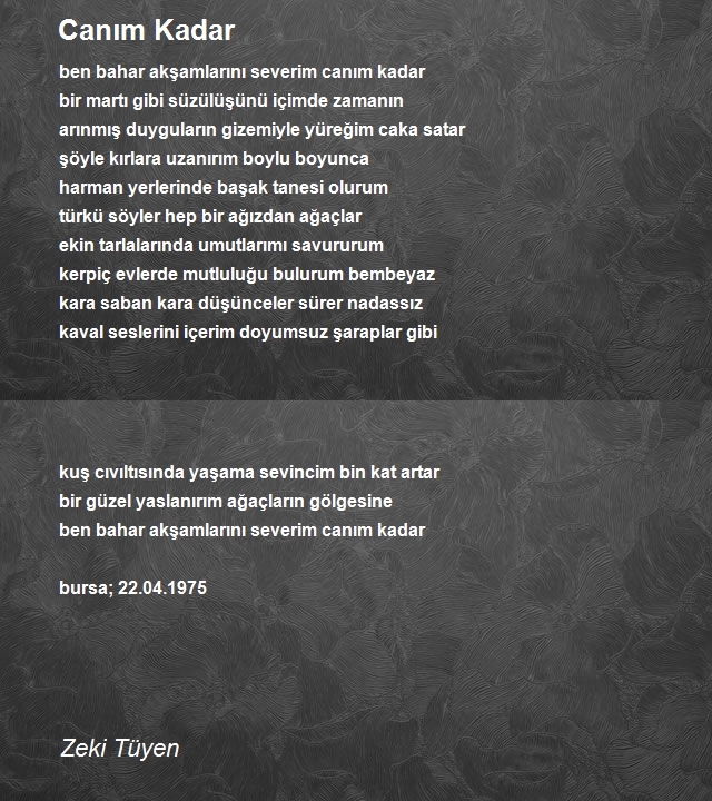 Zeki Tüyen