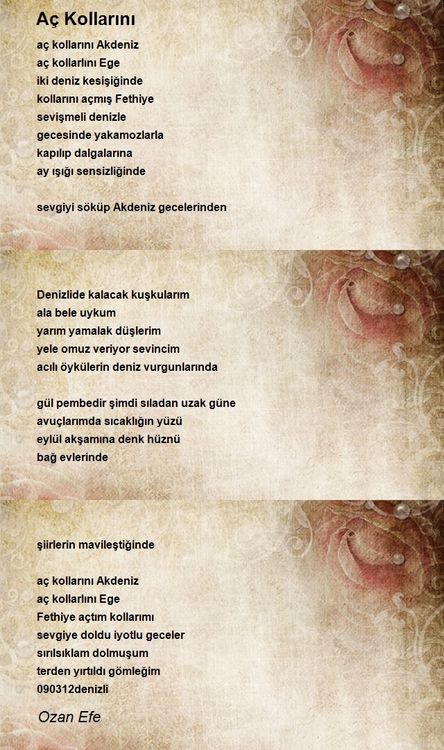 Ozan Efe