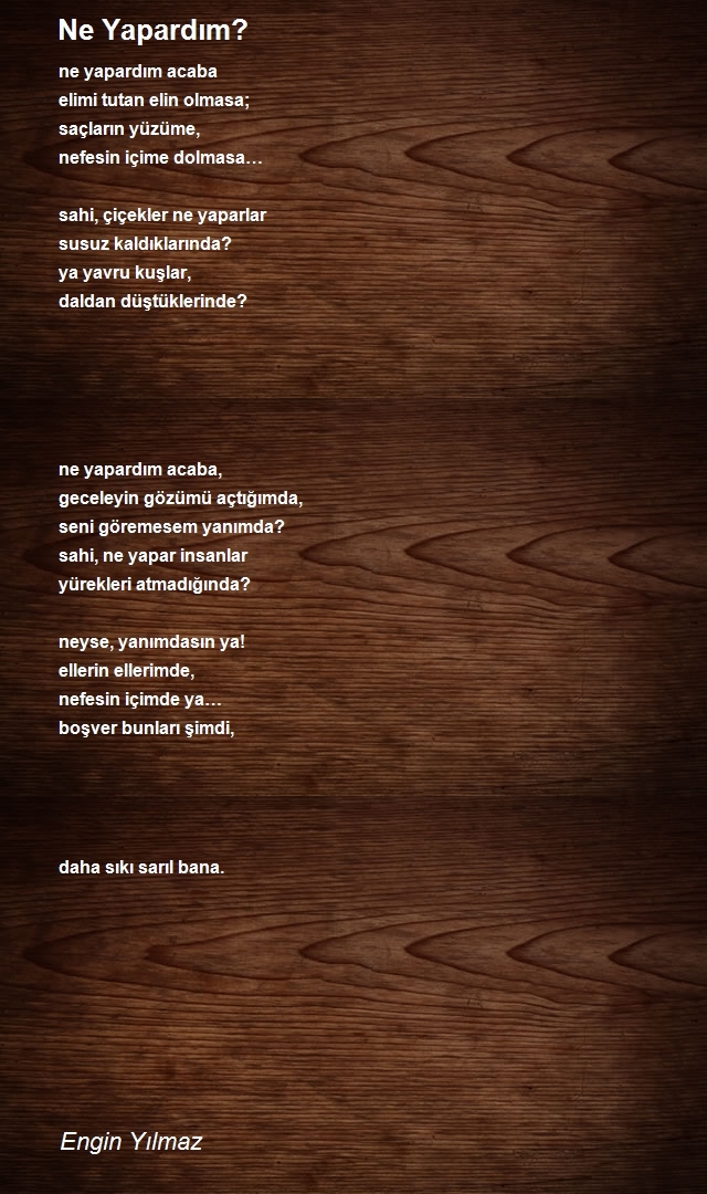 Engin Yılmaz