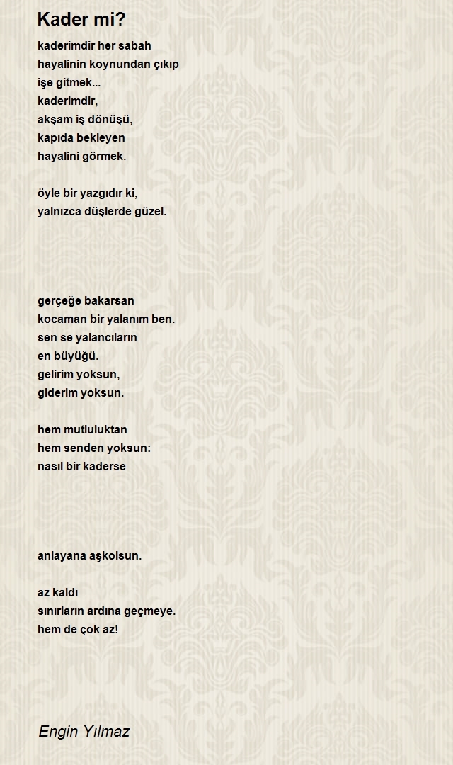 Engin Yılmaz