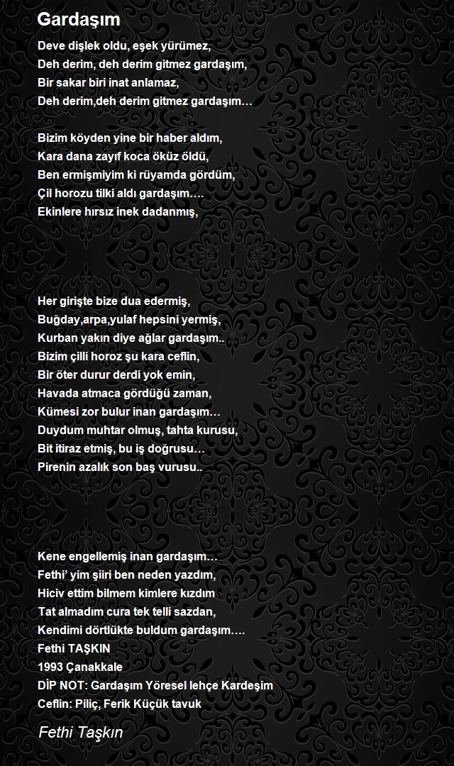Fethi Taşkın