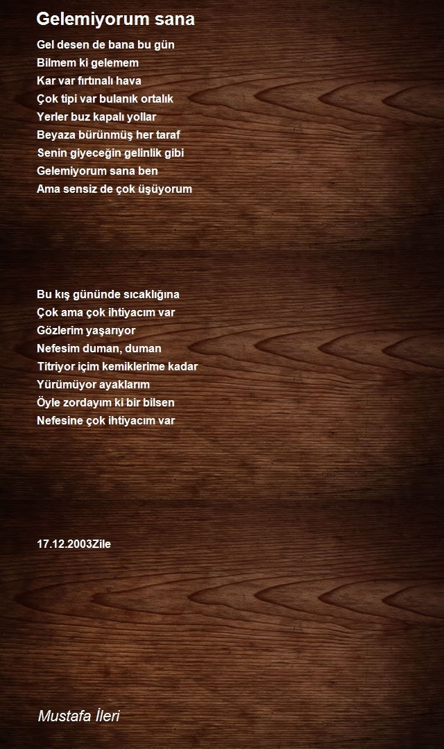 Mustafa İleri