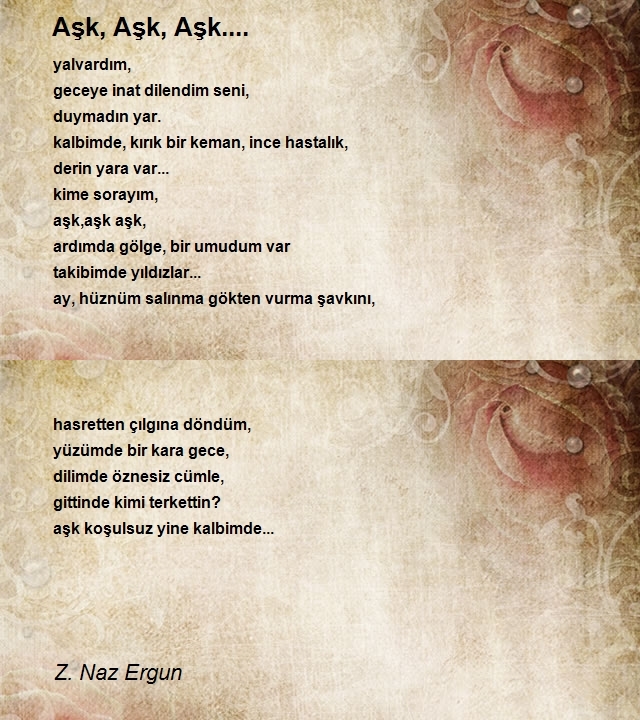 Z. Naz Ergun