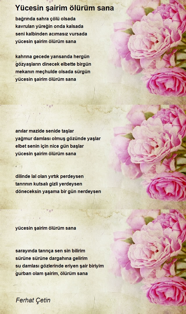 Ferhat Çetin