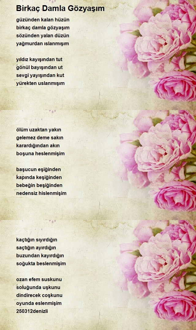 Ozan Efe