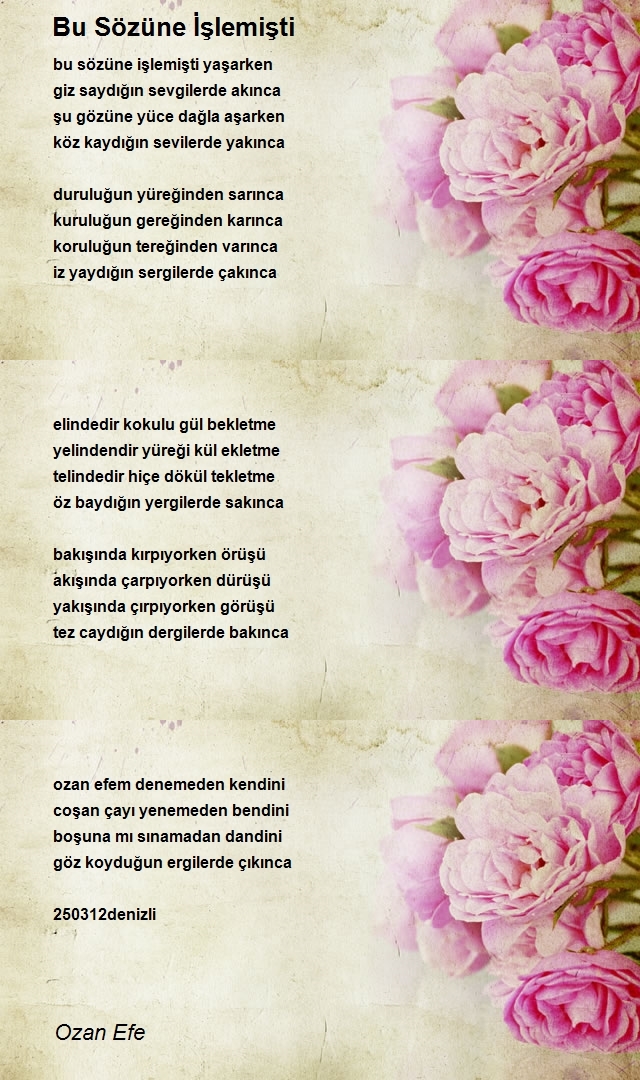 Ozan Efe