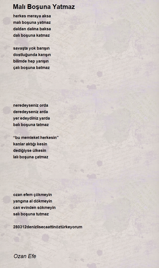 Ozan Efe