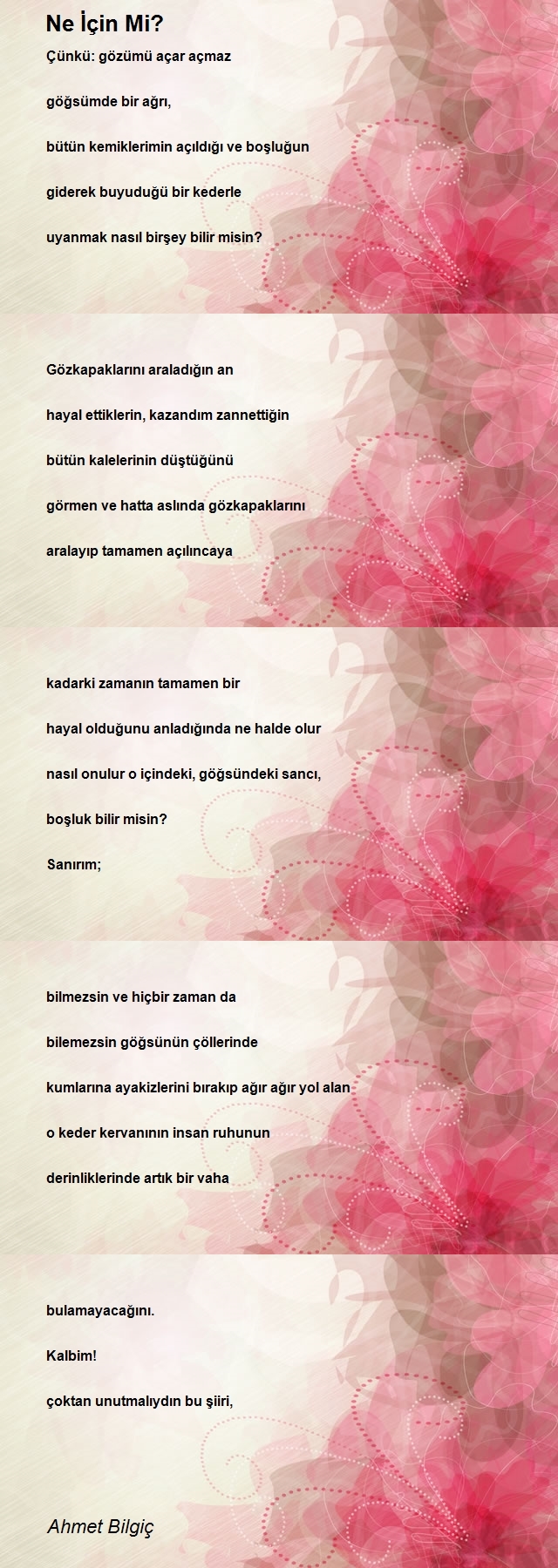 Ahmet Bilgiç